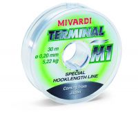 Terminal M1