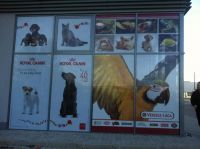 Predajňa Rybárske potreby Ryba na Trstínskej v Trnave