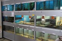 Predajňa Rybárske potreby Ryba na Trstínskej v Trnave