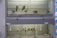 Predajňa Rybárske potreby Ryba na Trstínskej v Trnave