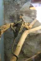 Predajňa Rybárske potreby Ryba na Trstínskej v Trnave